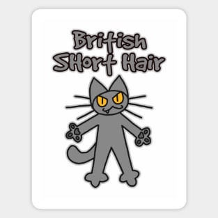 British Shorthair Magnet